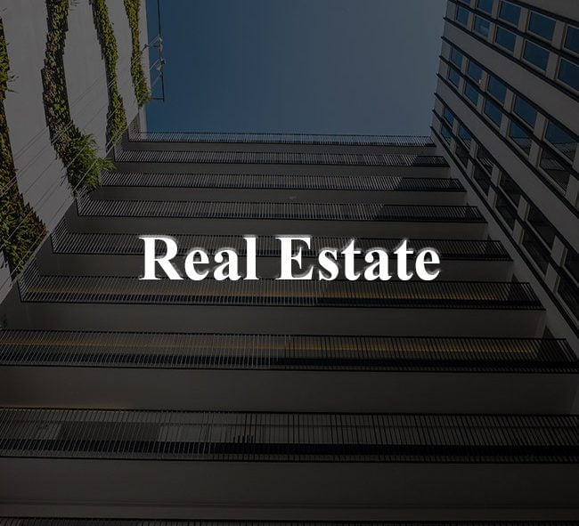 Real Estate Websites